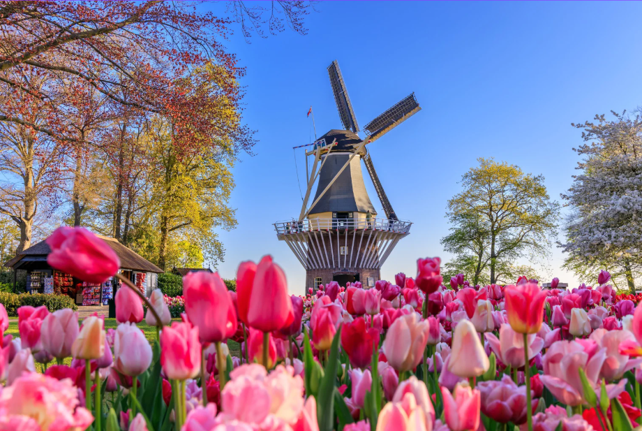Netherlands
